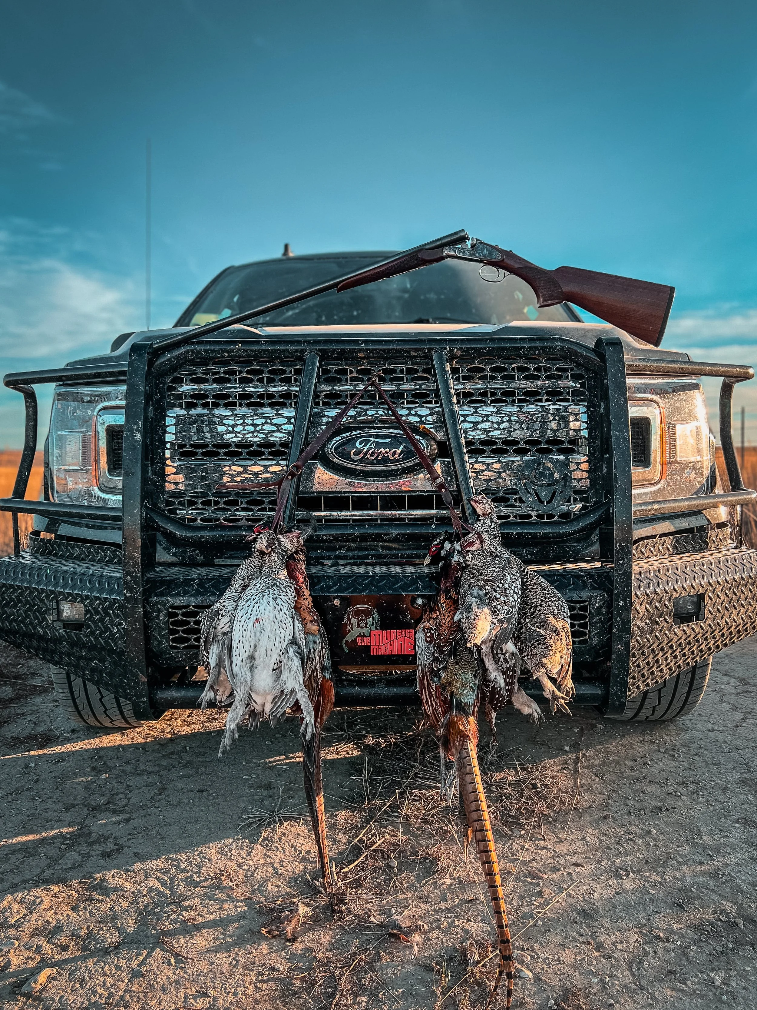 the Munster Machine featuring Montana Ring-necked rooster pheasants and Sharp-tailed grouse.