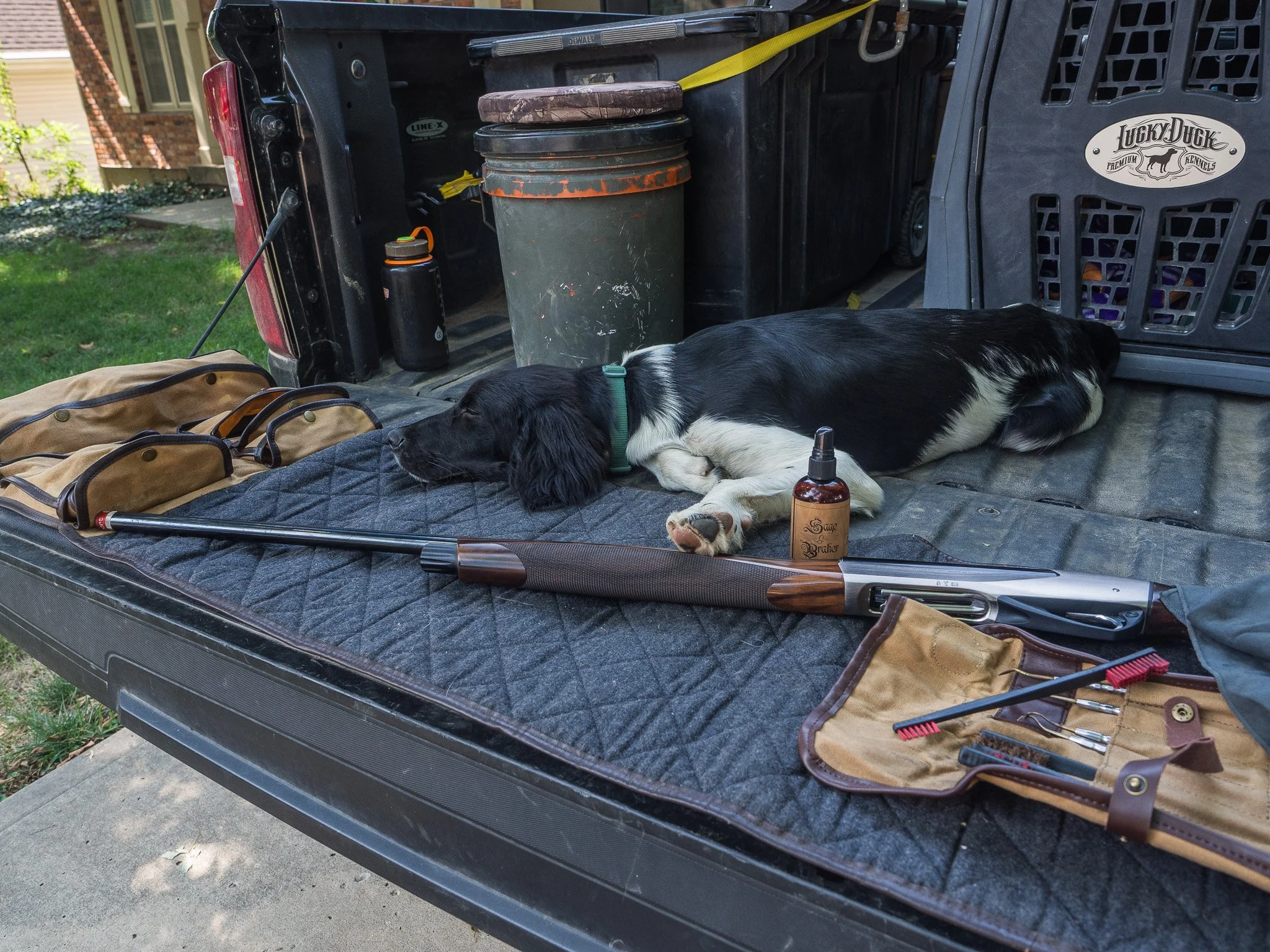 Aldo, a Large Munsterlander versatile hunting dog, sleeping on a tailgate beside a Sage & Braker gun cleaning mat a Beretta shotgun.