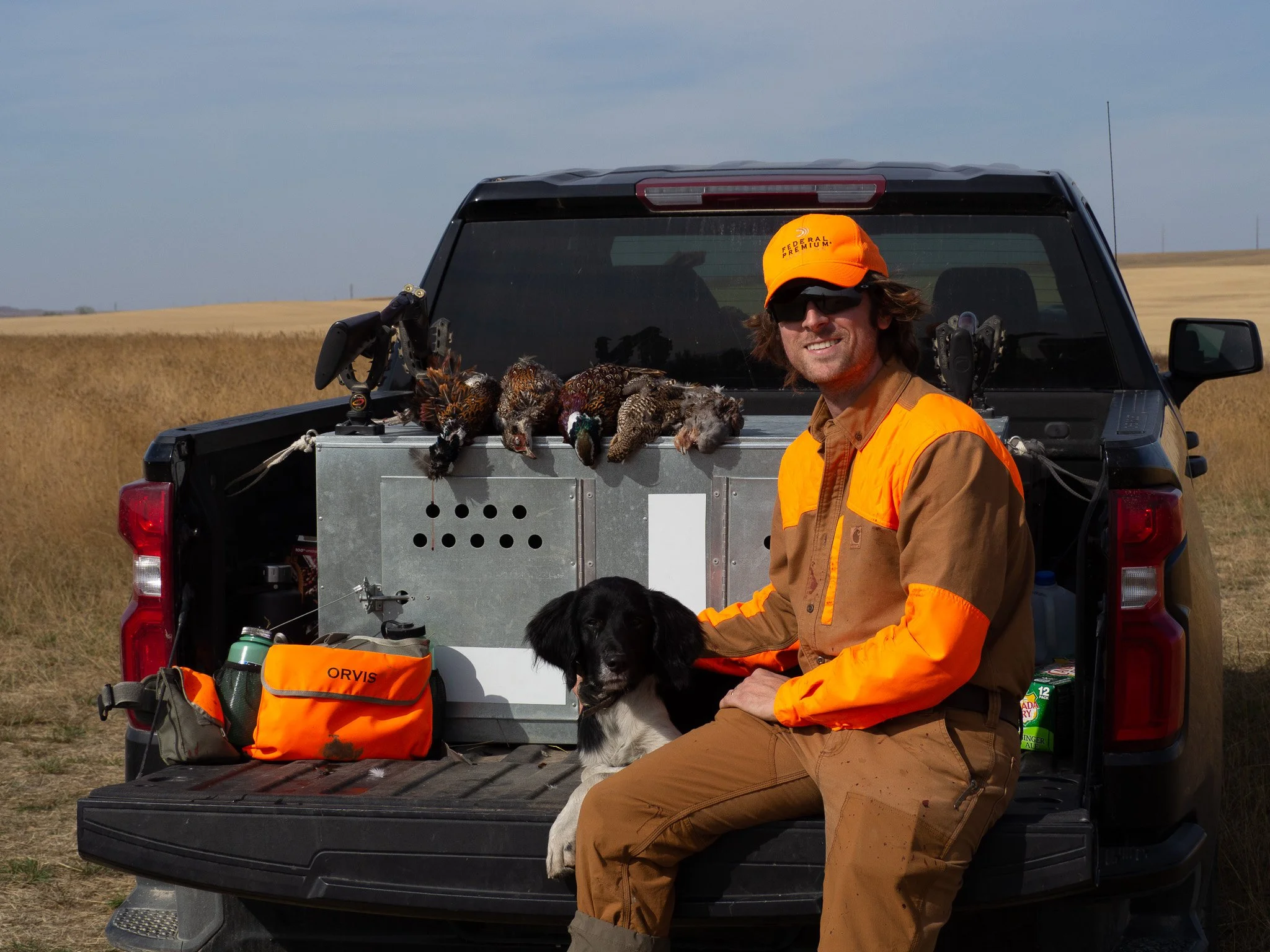 Ian Burrow with his versatile hunting dog, Aldo, a Large Munsterlander, sitting on the tailgate after a day of upland bird hunting in Montana. Pheasants and grouse are displayed on the dog box in the truck bed.