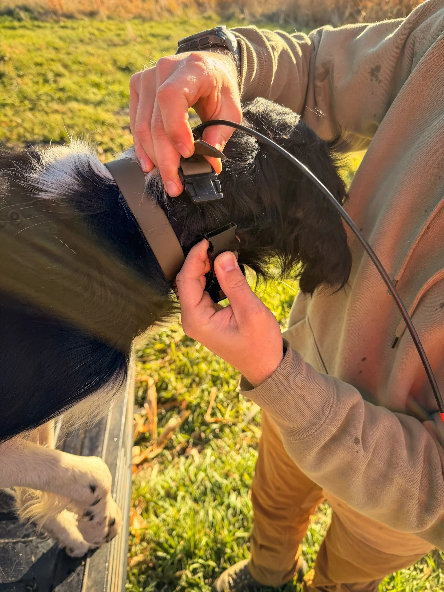 Garmin TT25 FieldSnap BioThane Collar.jpg