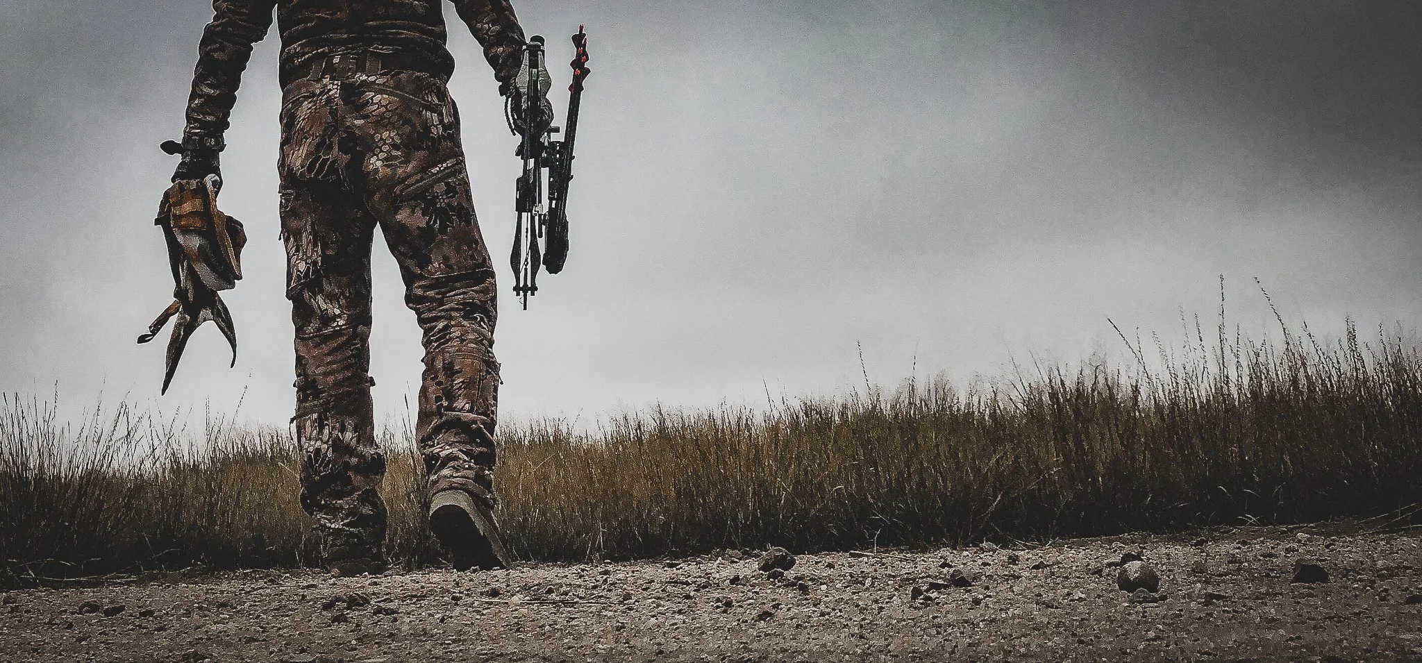 Antelope Walking_Edit.jpg