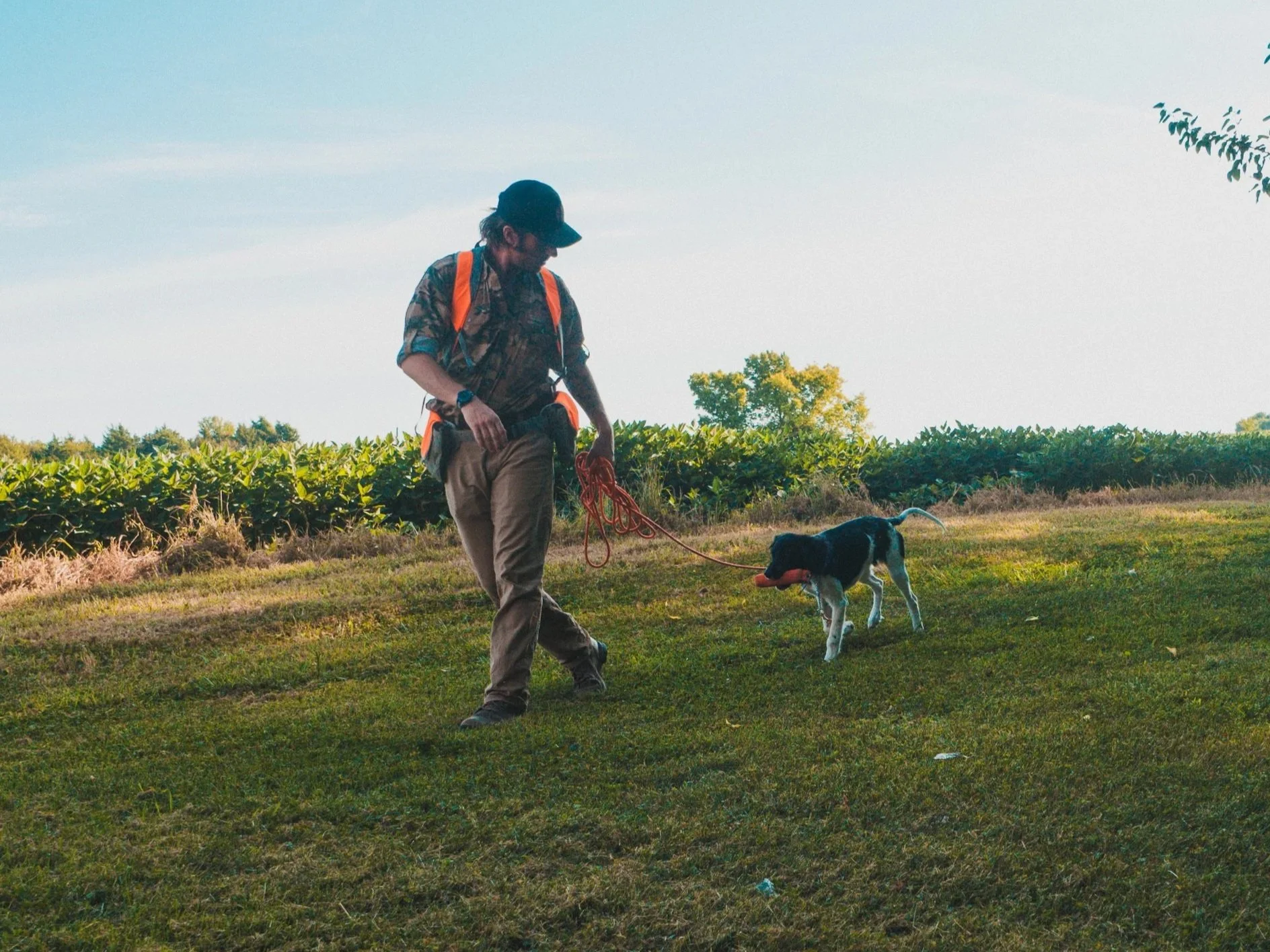 Ian Burrow working with his dog Aldo