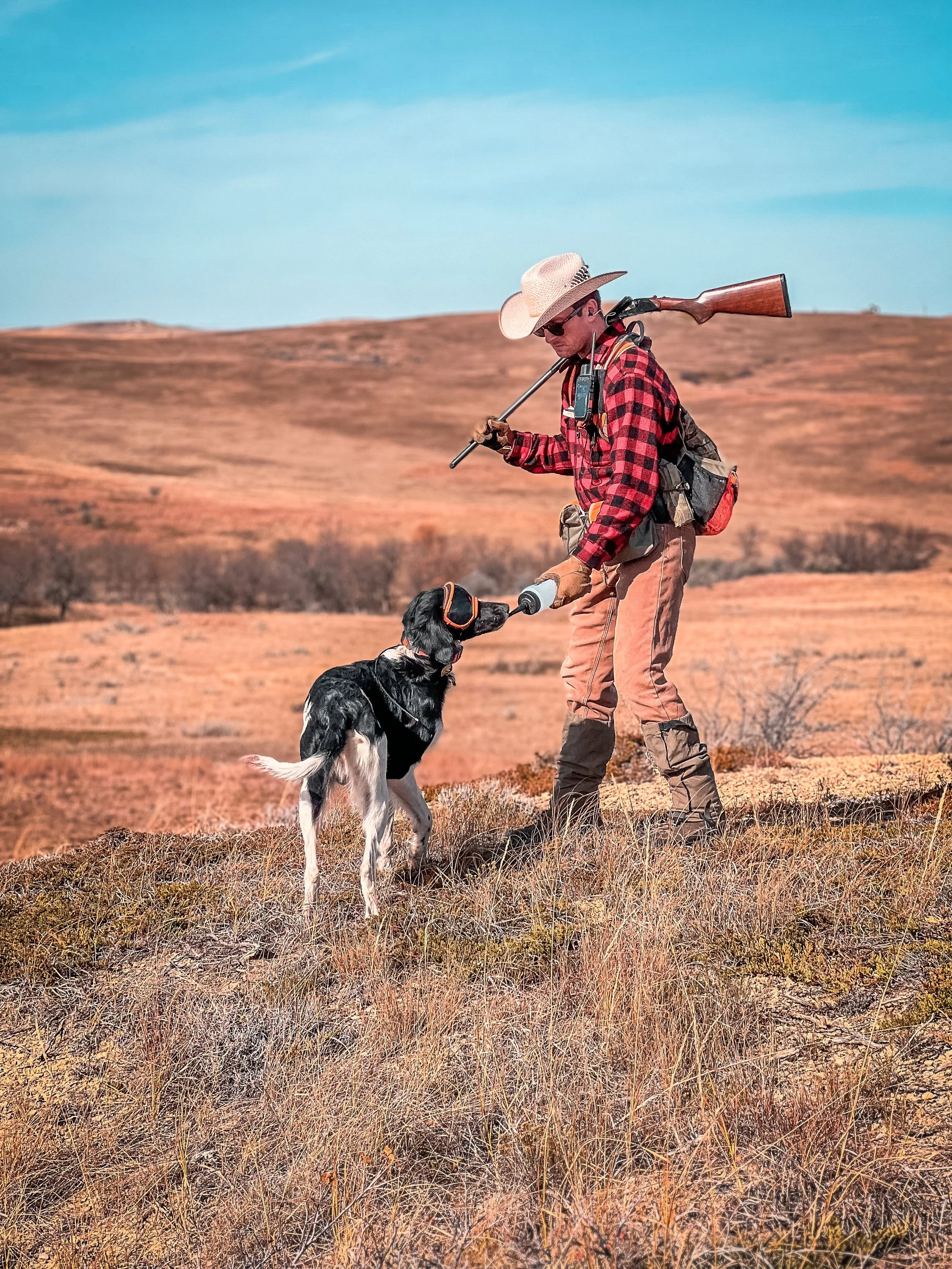 A man wearing a cowboy hat and plaid shirt is feeding a dog in an open, grassy field with dry, rolling hills in the background.