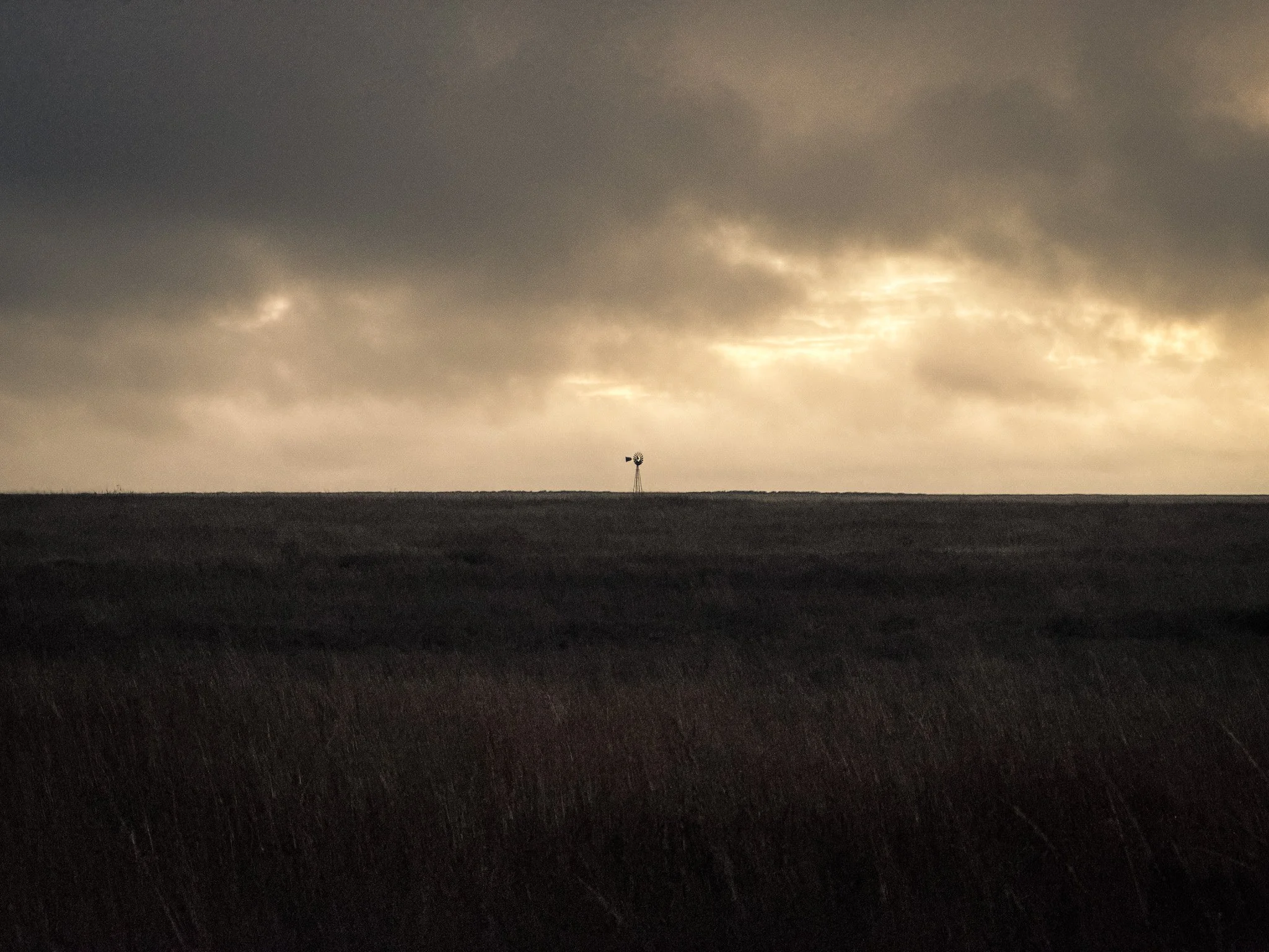 A flat landscape of rural Kansas with dark, wind-blown grass and a single windmill in the distance under a cloudy, overcast sky with soft light filtering through.