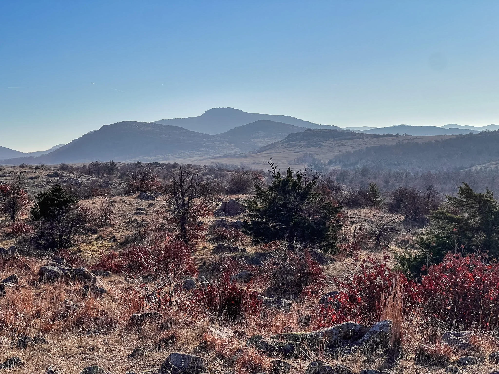 Wichitas Landscape_1_Wichitas 2024.jpg