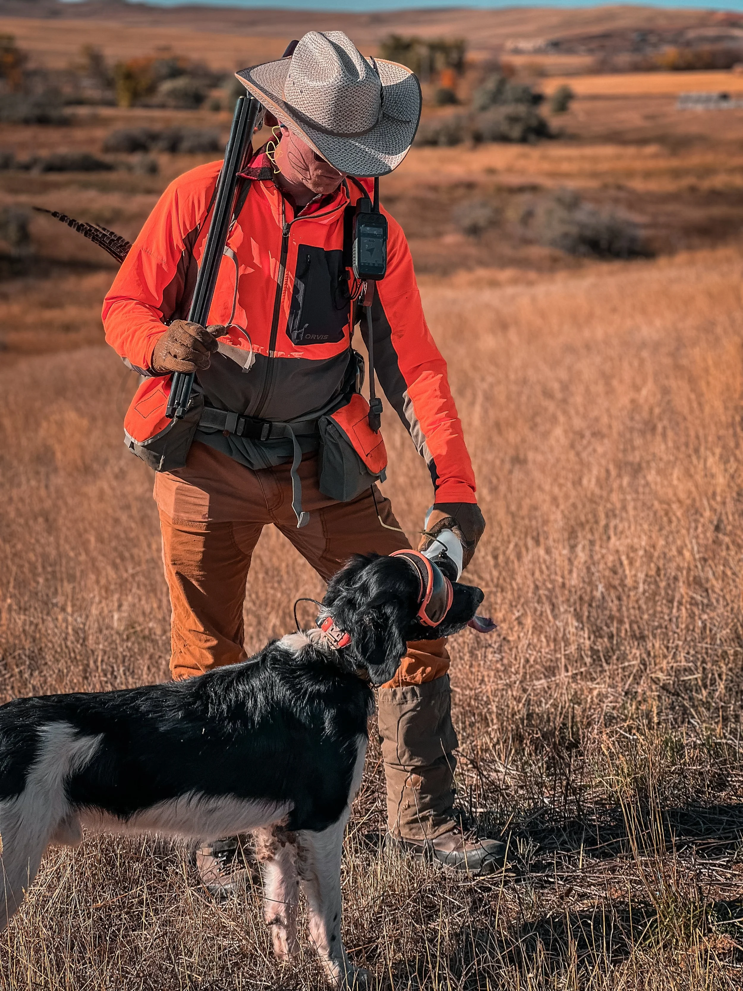 A man in outdoor gear giving water to a black and white Large Munsterlander hunting dog while upland bird hunting in eastern Montana.
