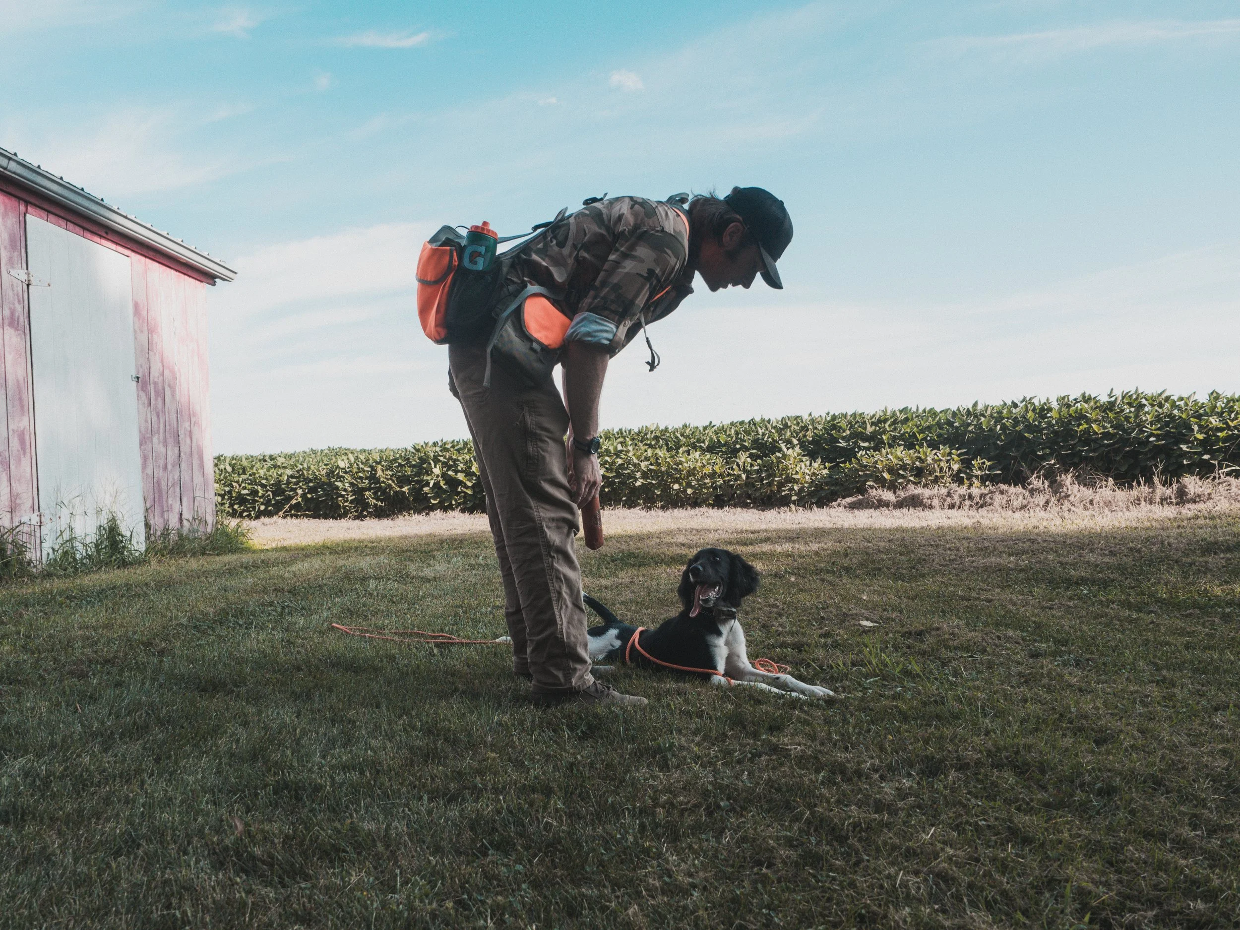 A man with sunglasses, a cap, and a backpack is bending over to give a treat to a black and white dog lying on the grass in an open field, with a pink shed on the left and green foliage in the background.