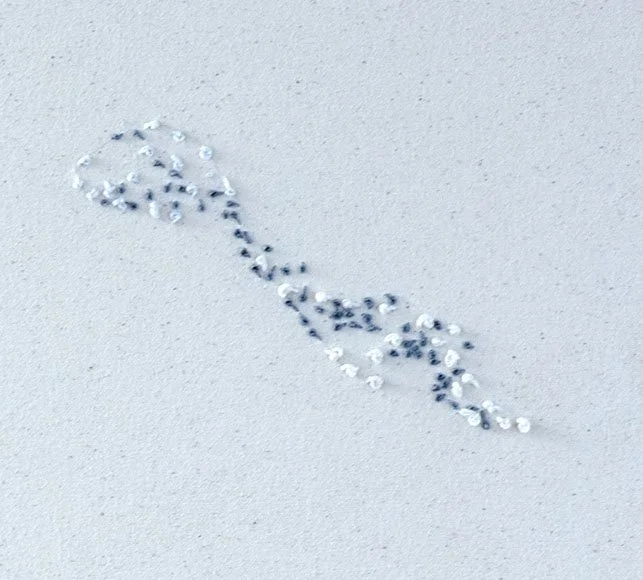 skyfall1_detail 1.jpg