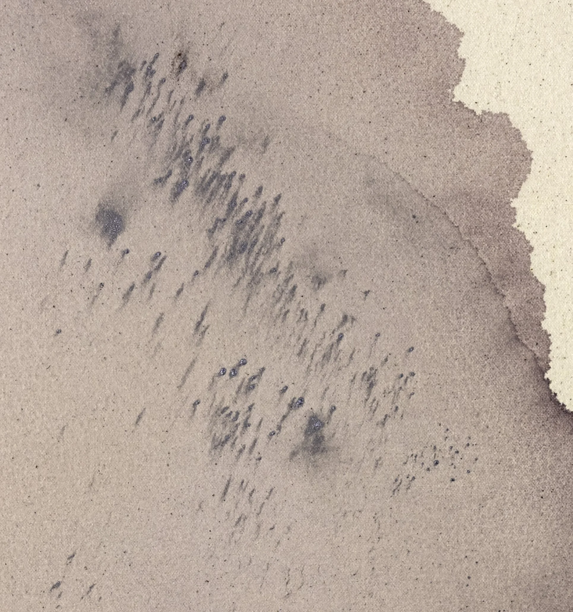 this is just to say detail 2.jpg