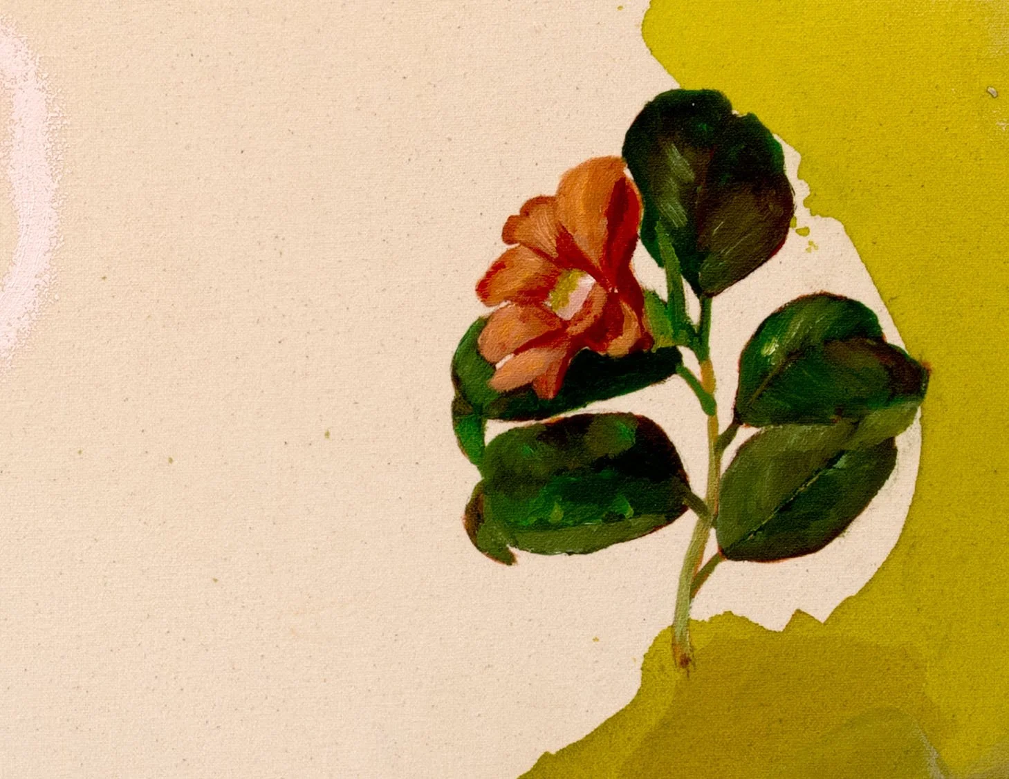 camellia_detail 1.jpg