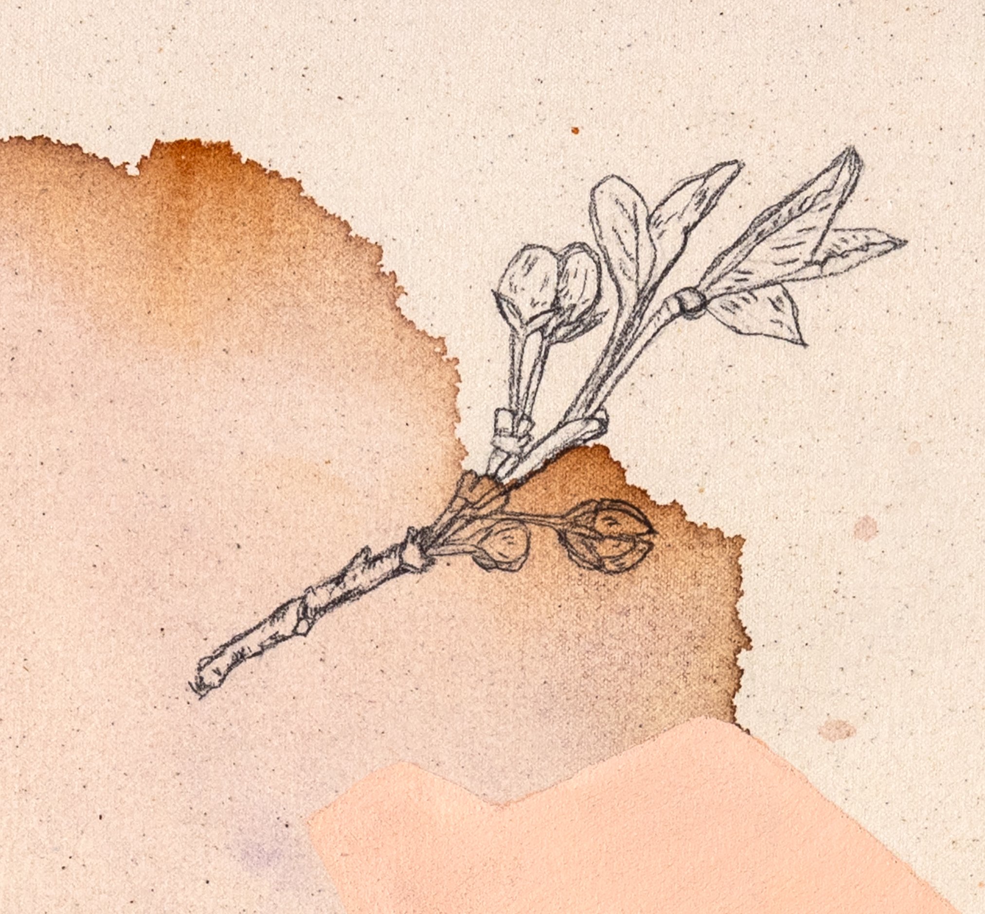 saving for breakfast detail 2.jpg