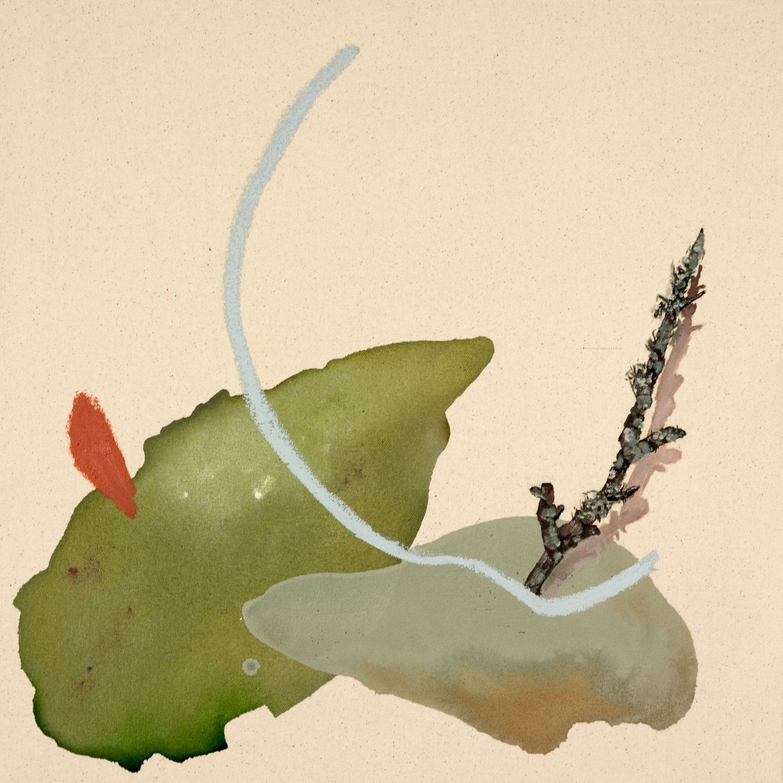 Lichen Blue Hook