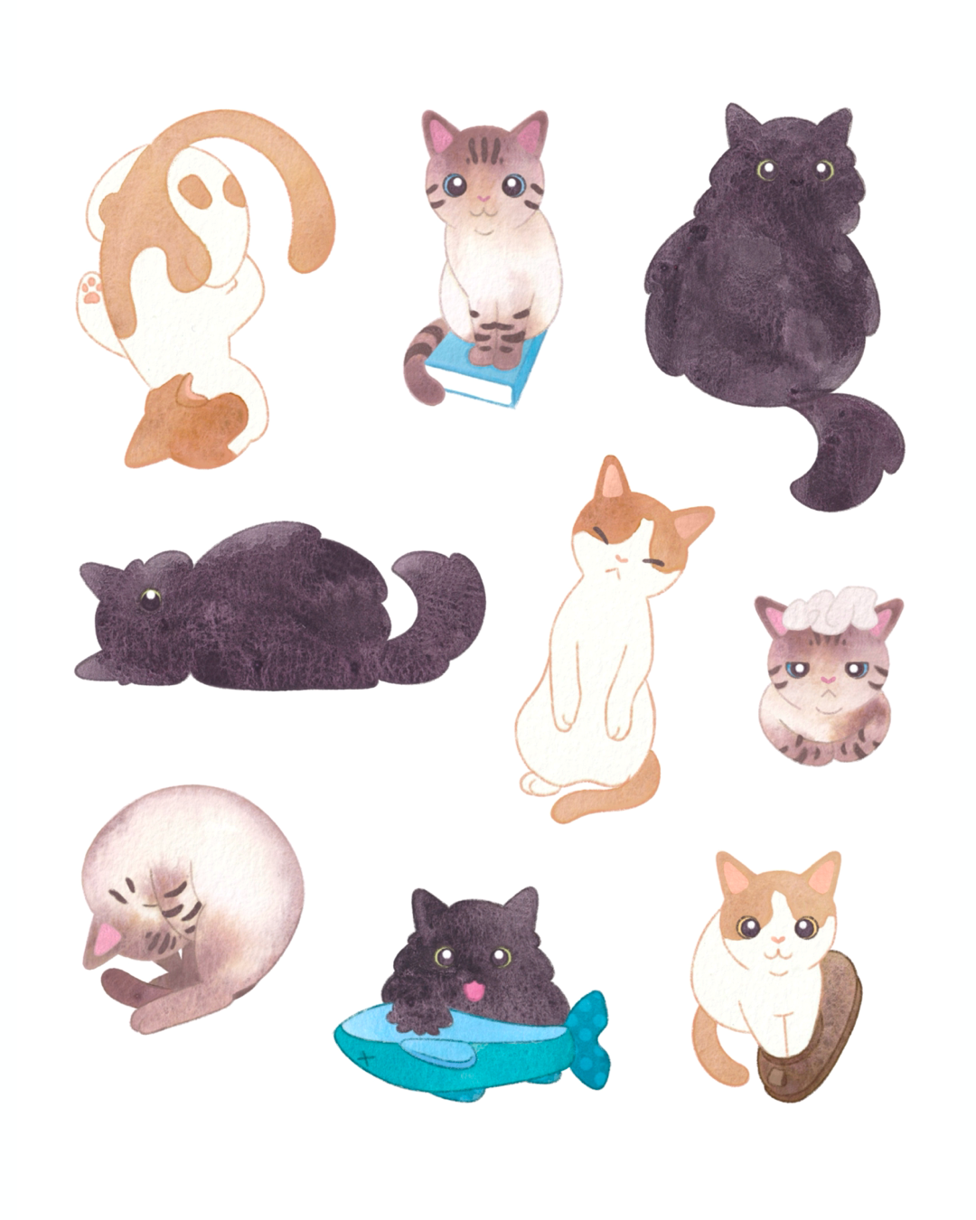 CatPack.png