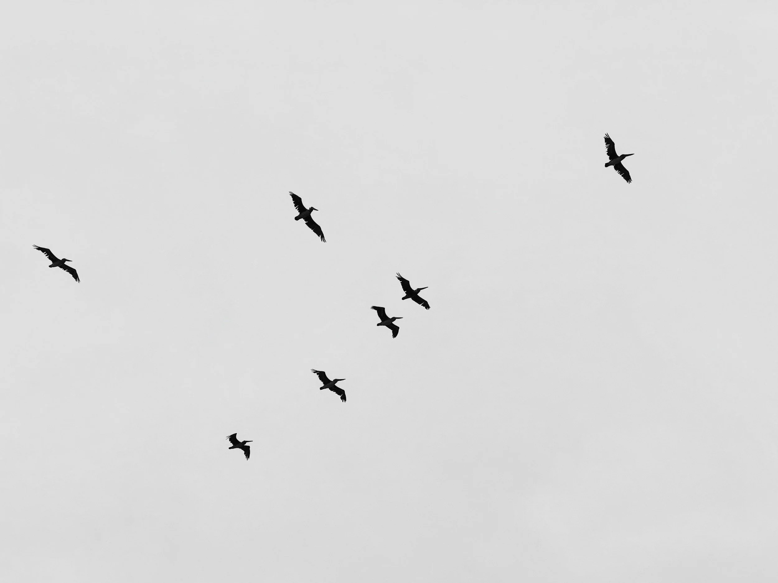 Navigating change: MPX’s lessons from nature