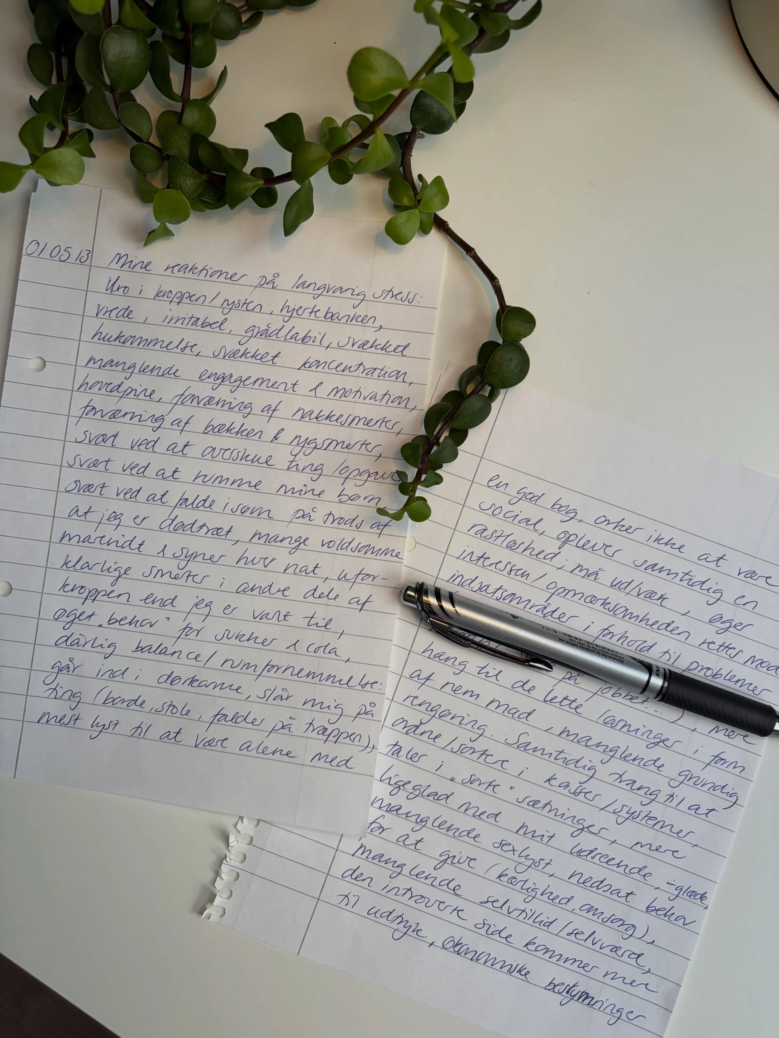 Jeg deler et meget privat 13 &aring;r gammelt notat ❤️&zwj;🩹

📖 Forleden fandt jeg en notesbog i en skuffe. Der var kun skrevet p&aring; de to f&oslash;rste sider.

Det er min skrift og jeg kan genkende de mange reaktioner p&aring; langvarig belast
