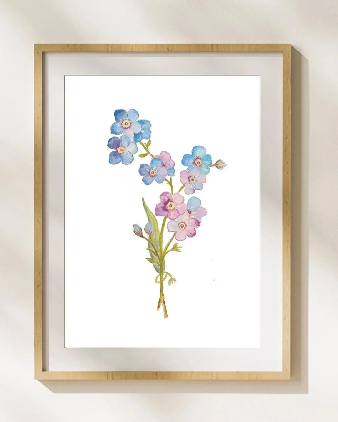 Blue and pink forget-me-not flowers in full bloom, delicate pastel petals symbolizing love and remembrance