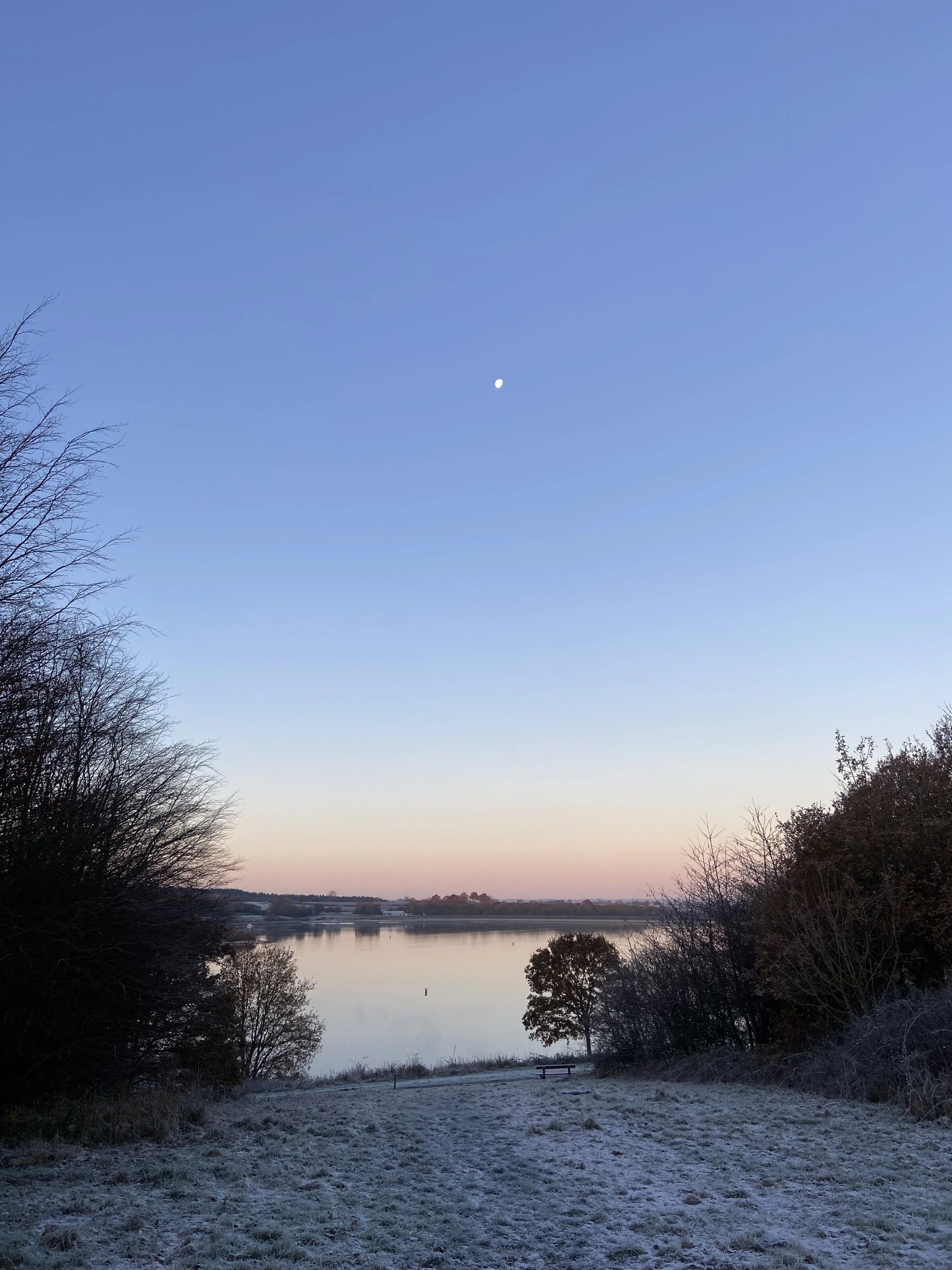 IMG_3169.jpeg