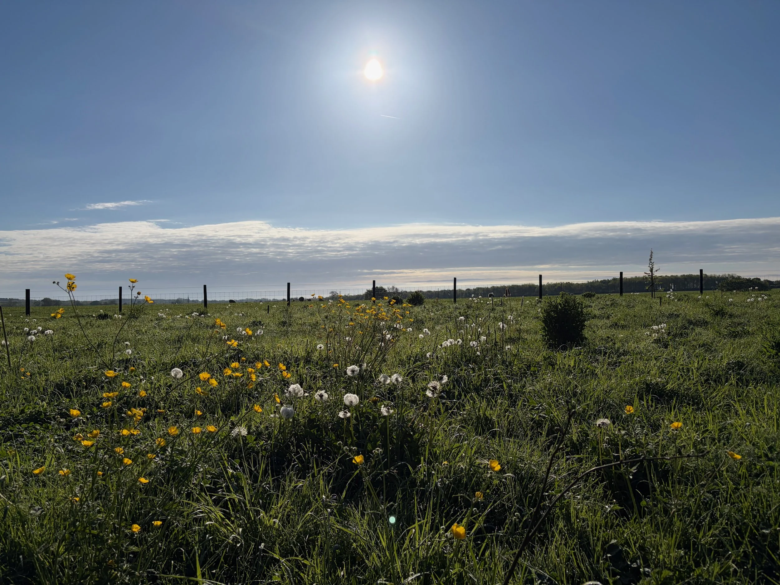 Countryside setting near Donington Park and Download Festival