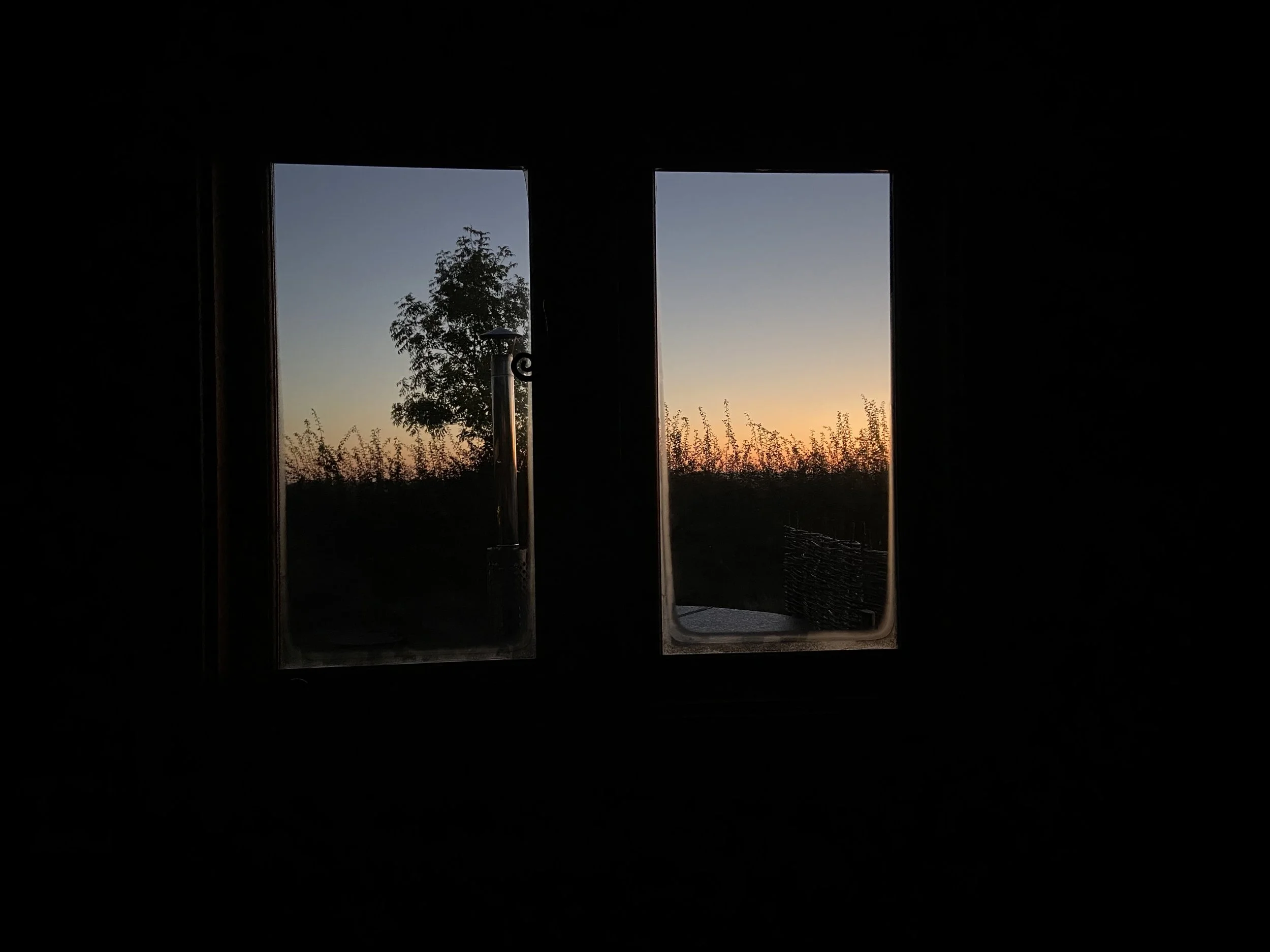 View through a window showing a silhouette of a tree and sunset sky outside.