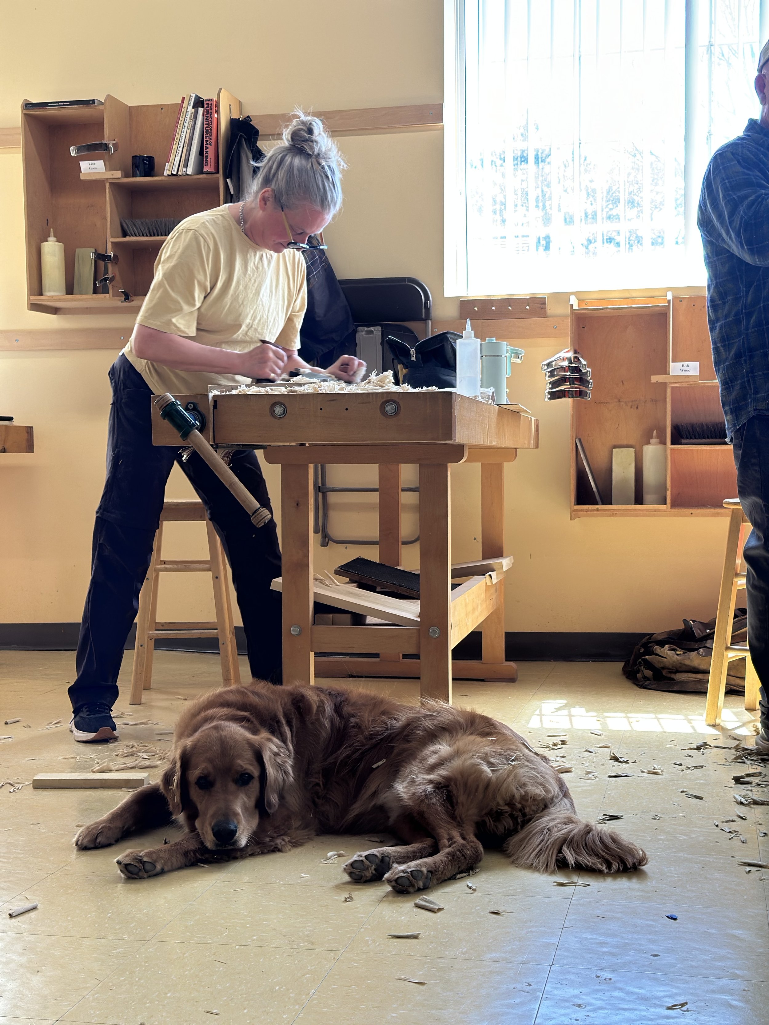 A person with gray hair tied back, wearing glasses and a yellow shirt, working on wood shavings at a wooden worktable in a room with shelves and window. A large, relaxed golden retriever puppy is lying on the yellowish tile floor in front of the pers