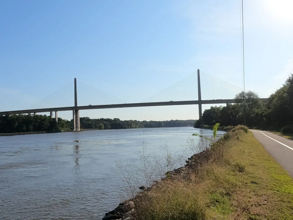 William V Roth Jr. Bridge 3.jpg