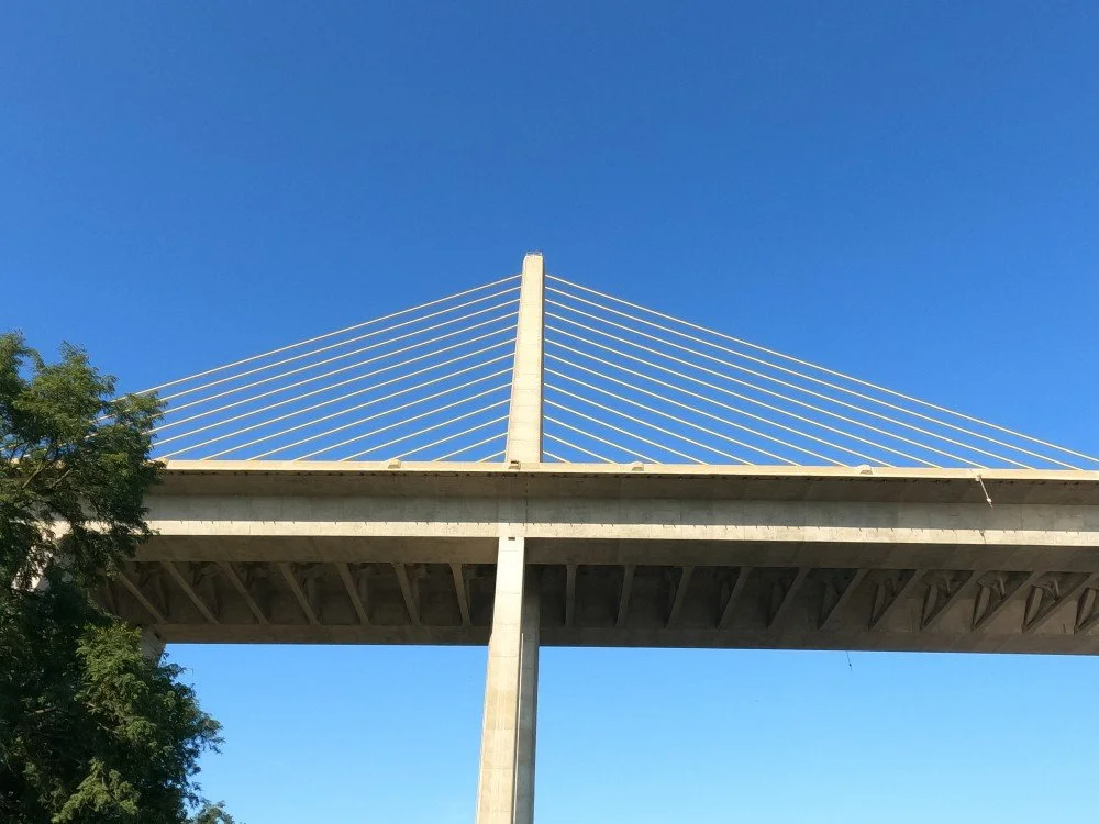 William V Roth Jr. Bridge 4.jpg