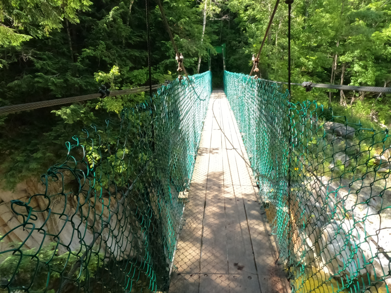Bob+Brugmann+Suspension+Bridge+11.png