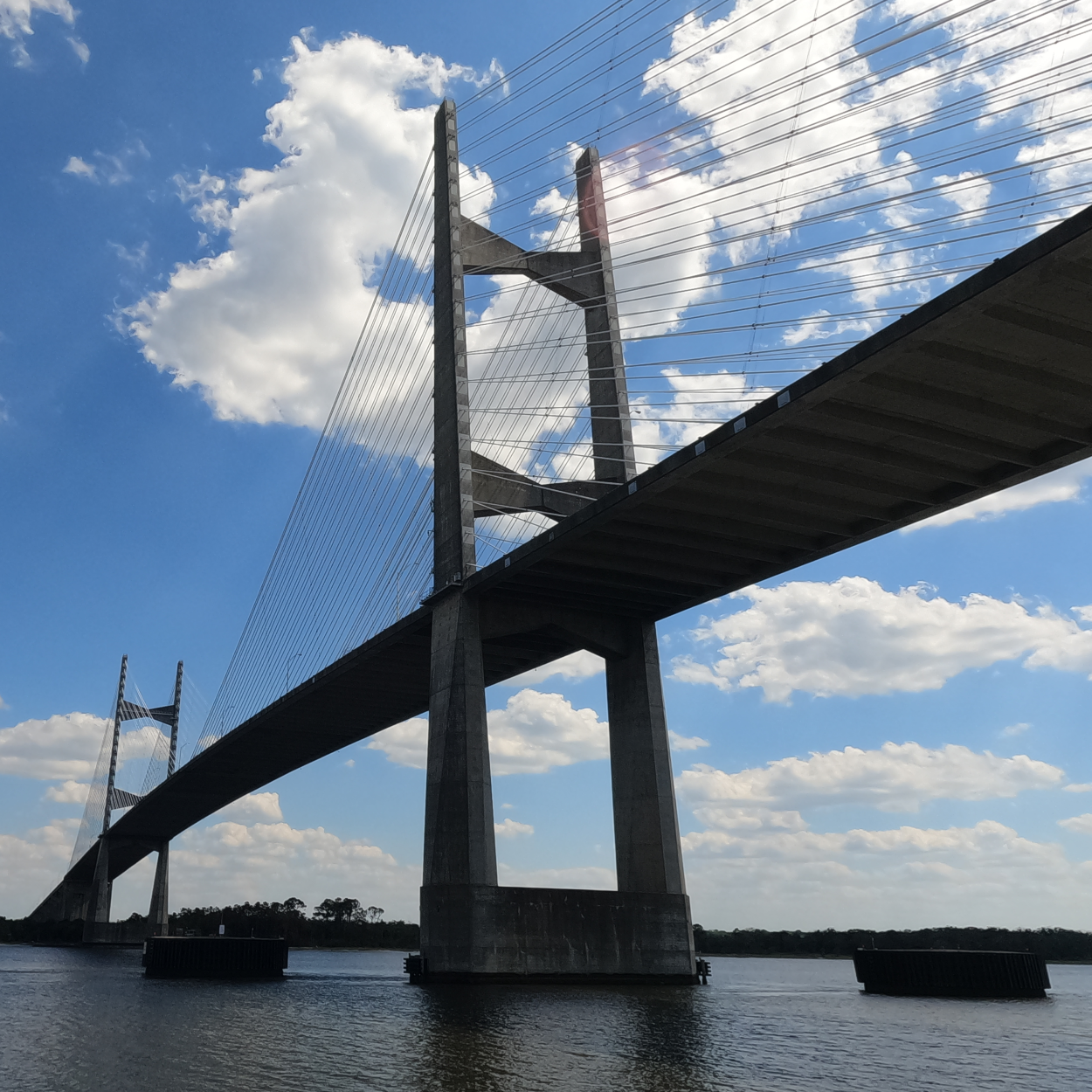 Dames Point Bridge (FL)