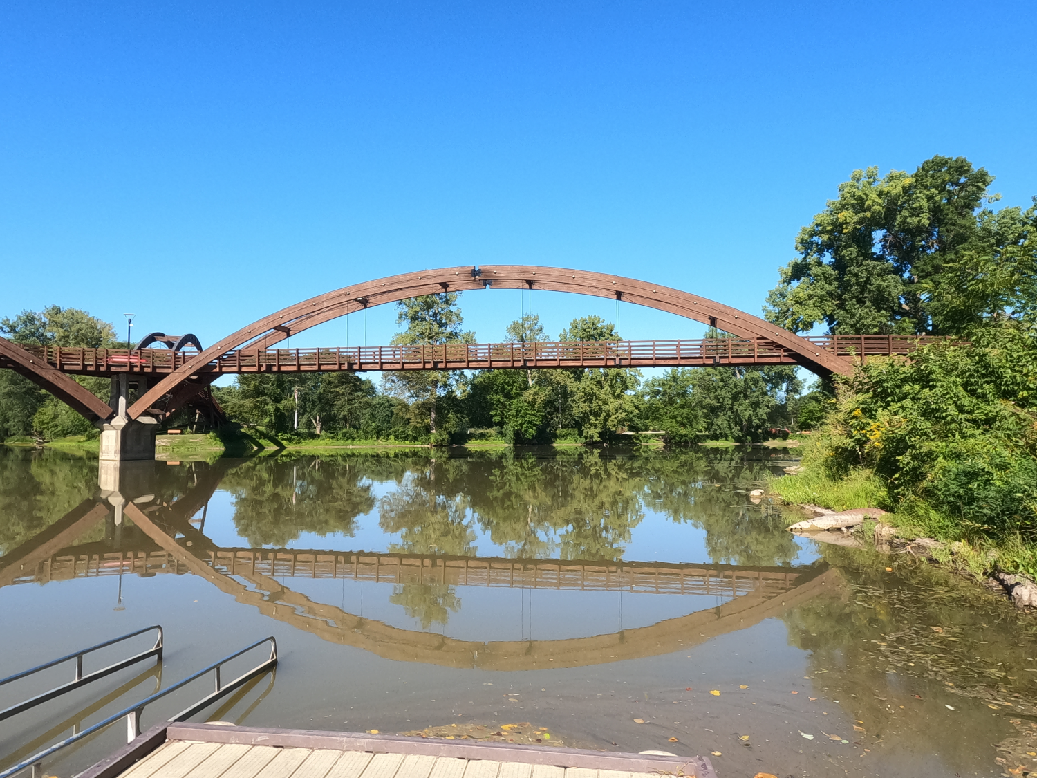 The Tridge 3.png