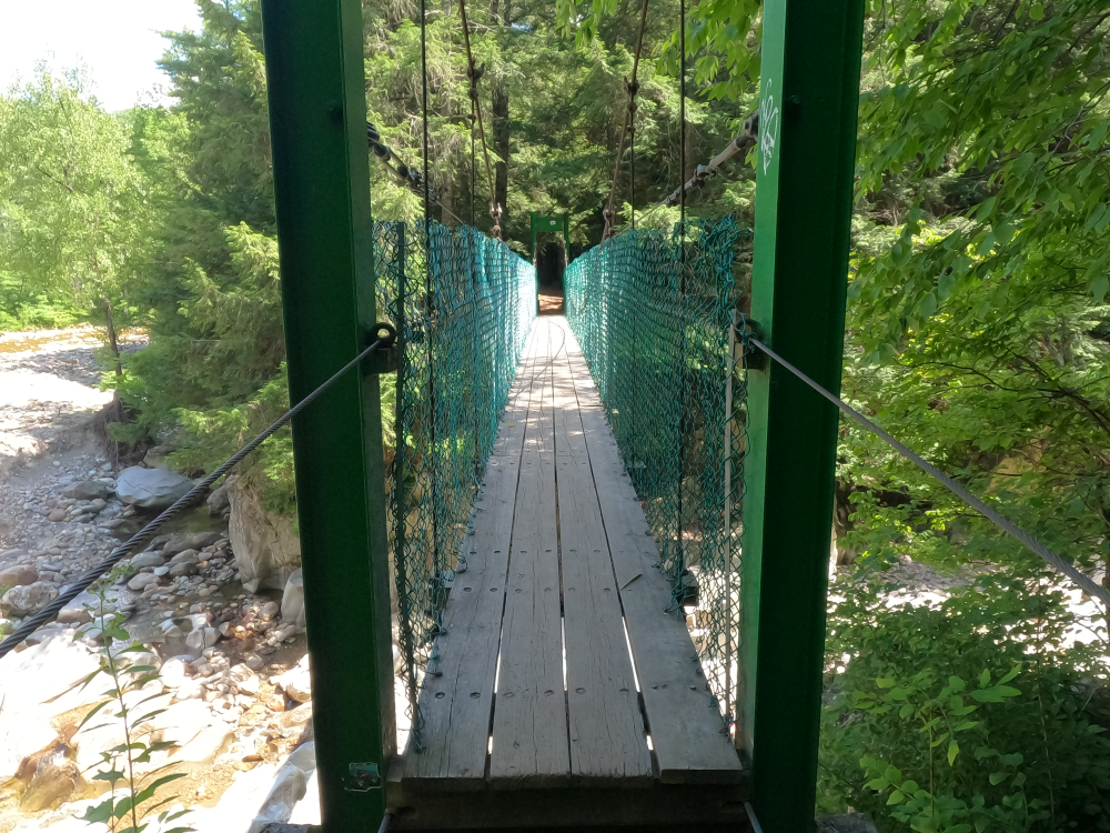 Bob Brugmann Suspension Bridge 5.png