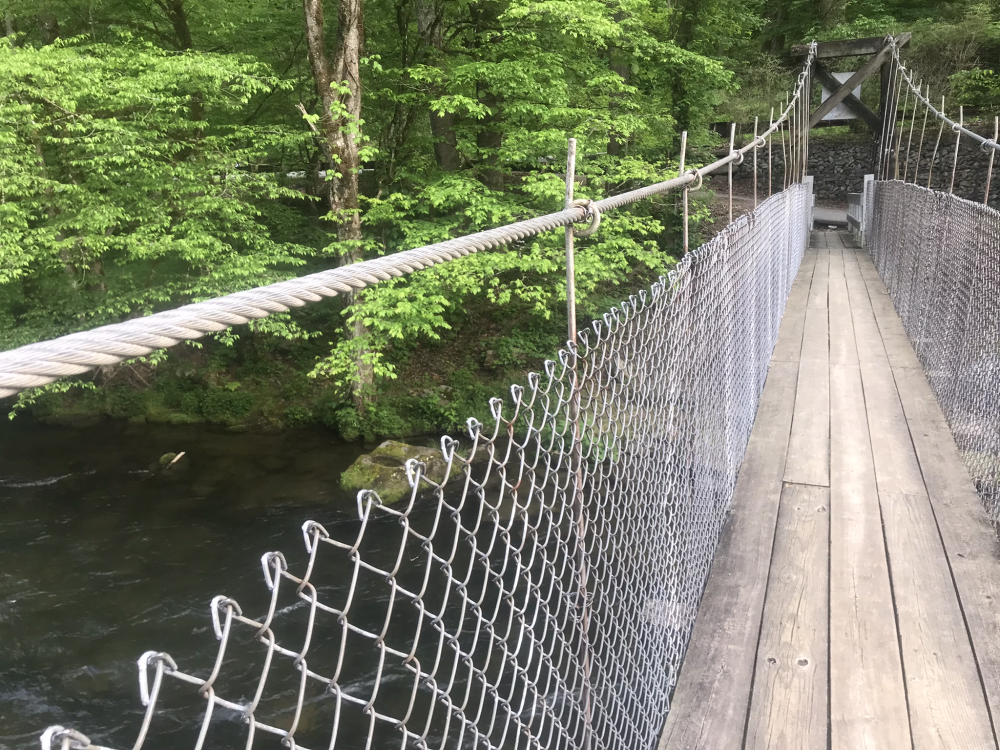 Nantahala Swinging Footbridge 11.png