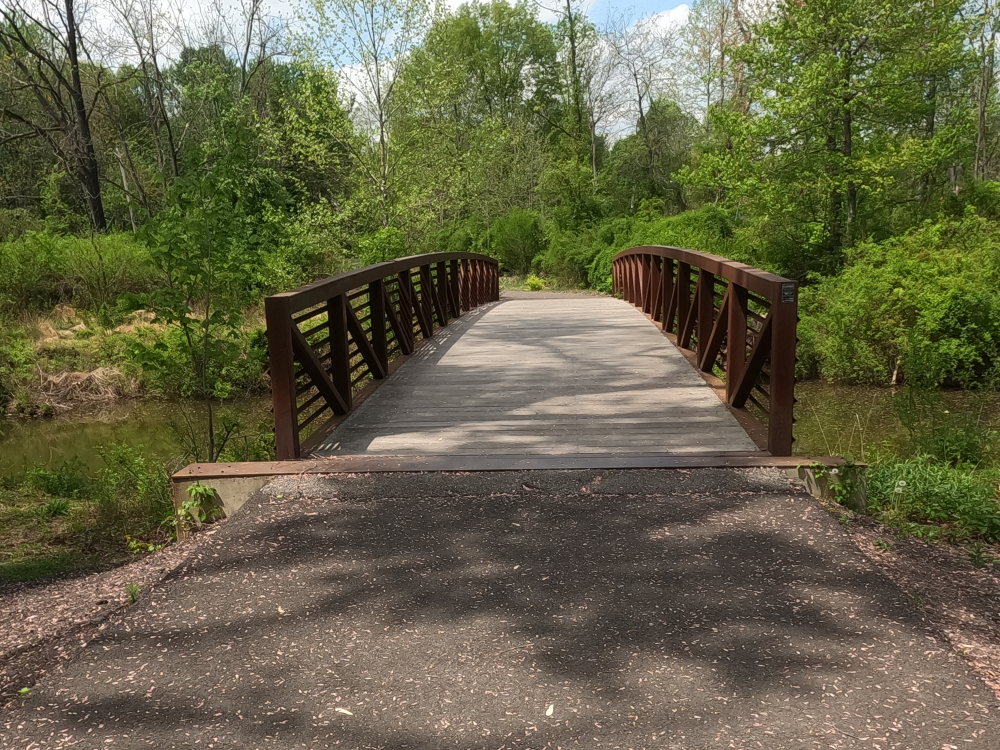 Pine Valley Park Bridge 4.png