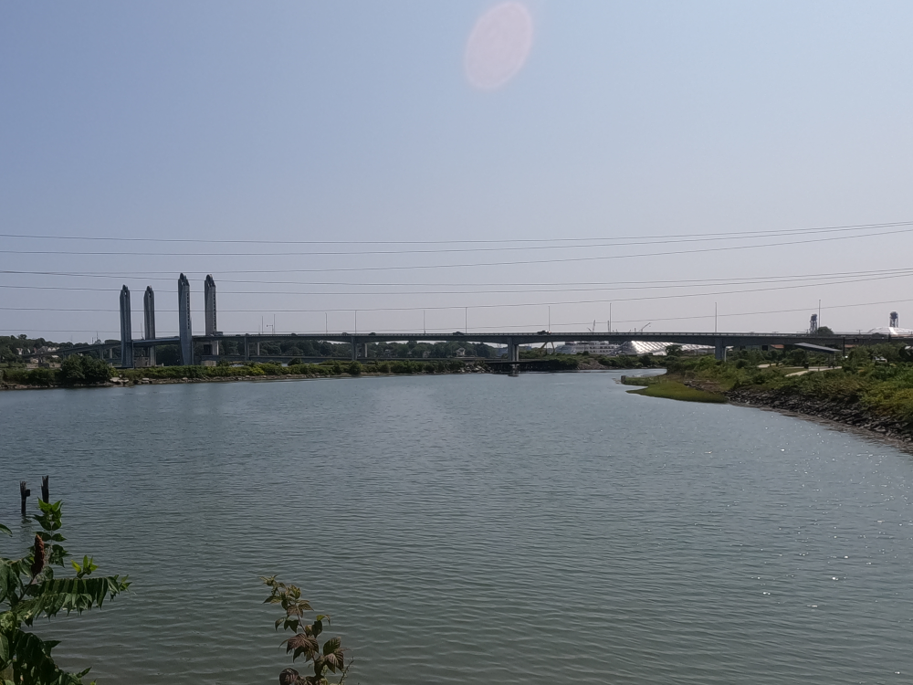 Sarah Mildred Long Bridge 4.png