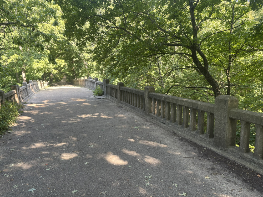 Matthiessen State Park Bridge 1 10.png
