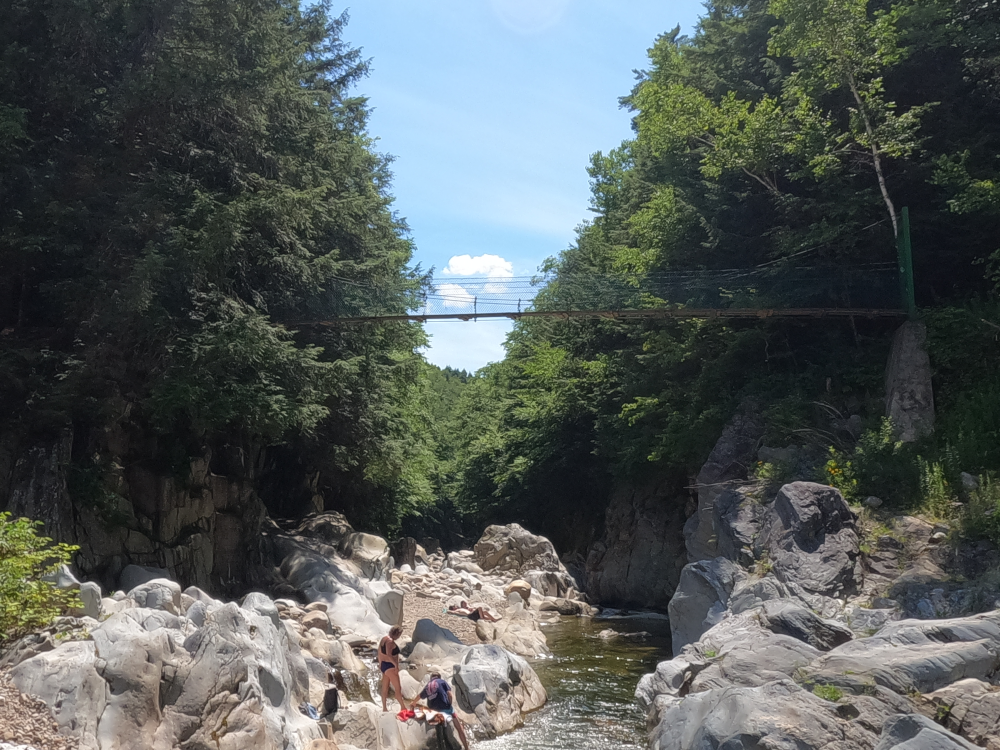 Bob Brugmann Suspension Bridge 6.png