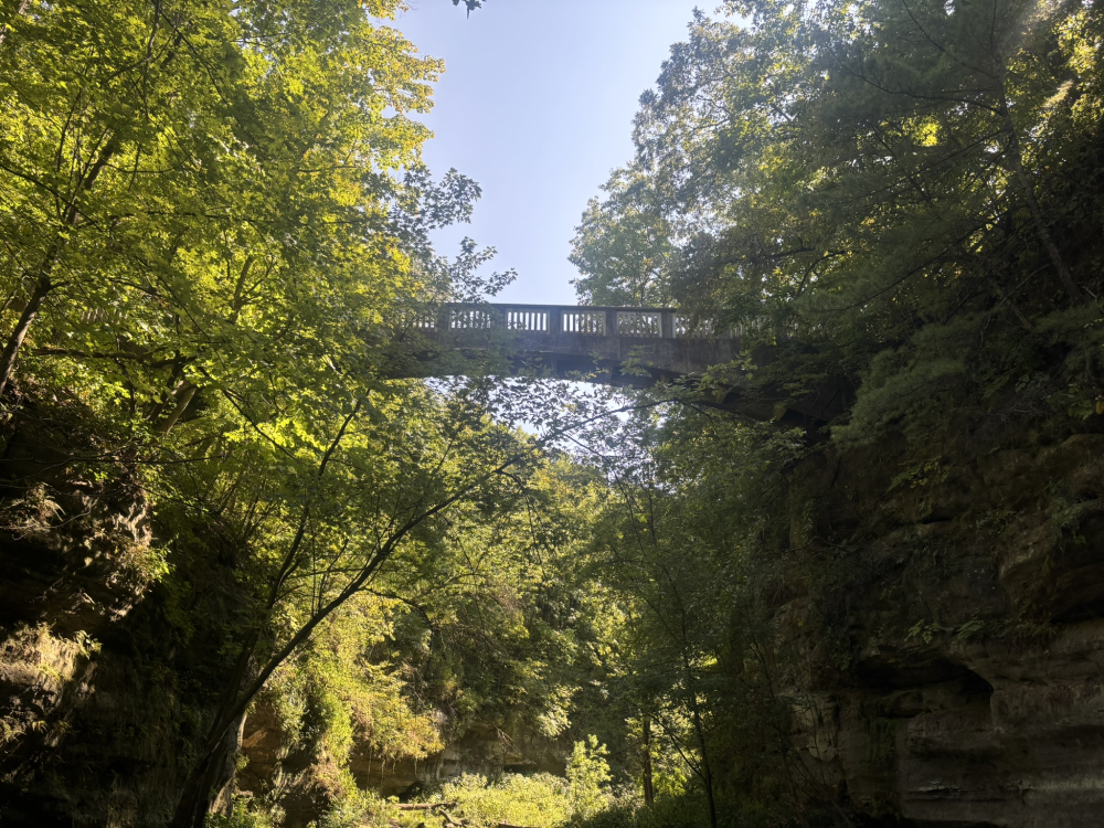 Matthiessen State Park Bridge 3 8.png