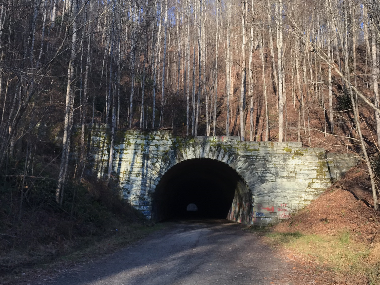 Lakeview Drive Tunnel 2.png