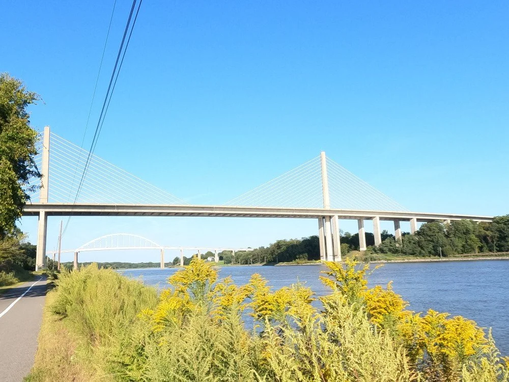 William V Roth Jr. Bridge 6.jpg
