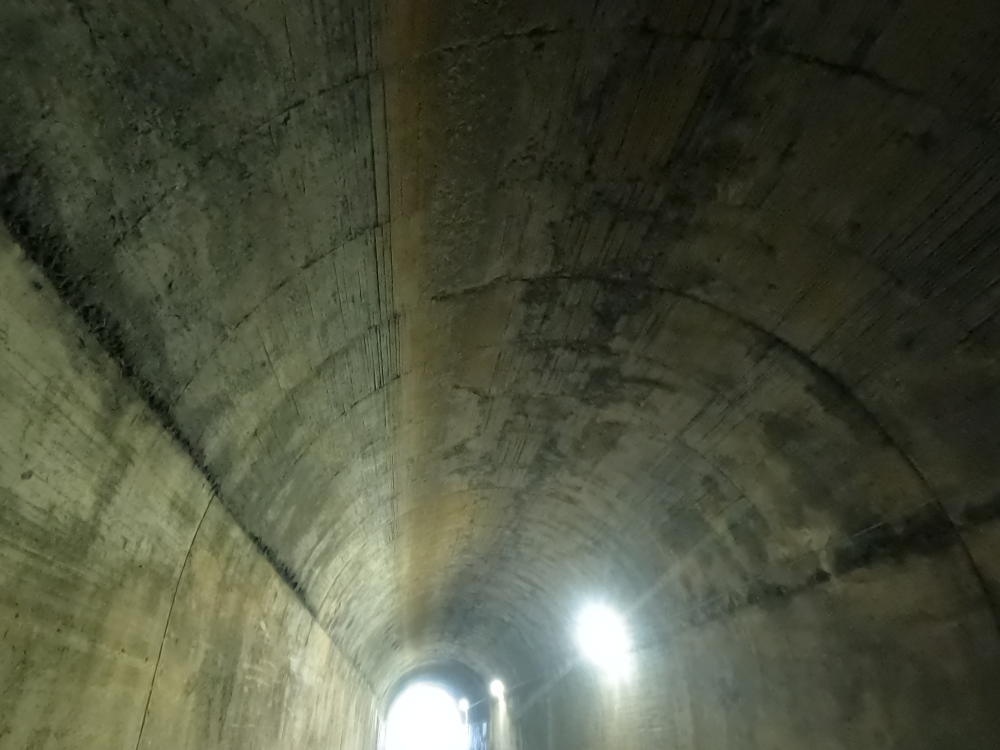 Borden Tunnel 8.png