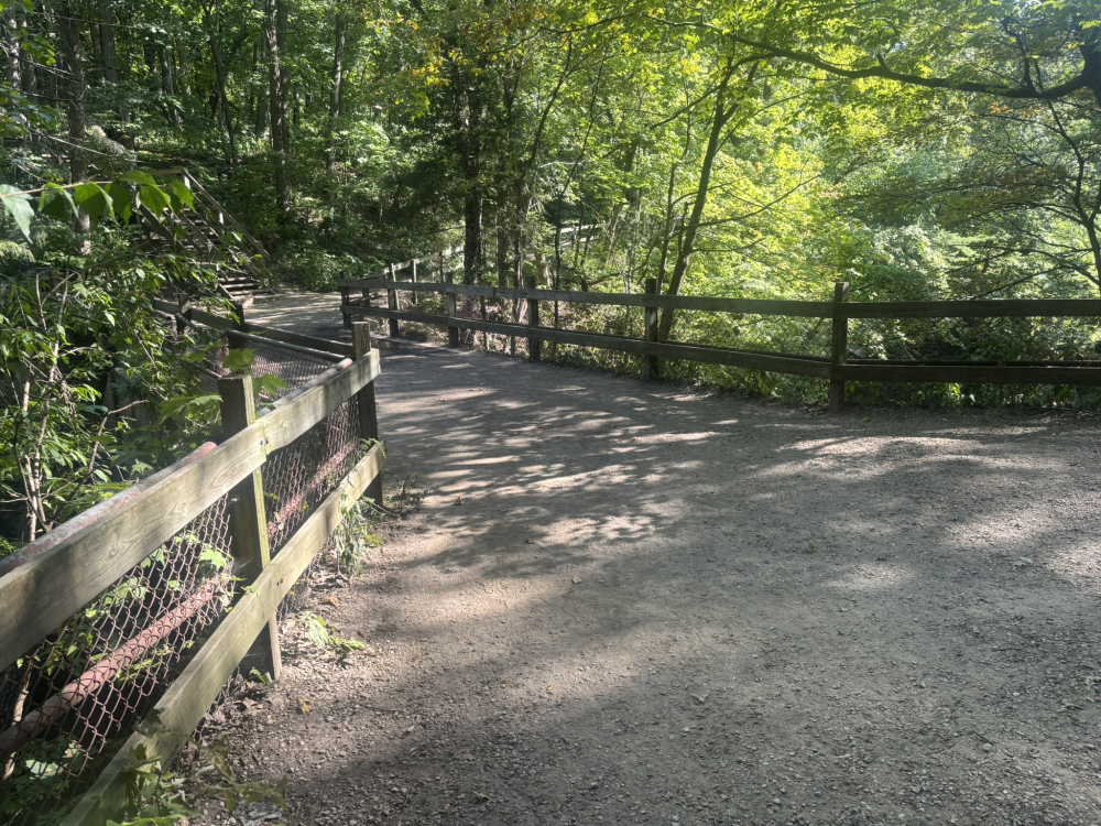 Matthiessen State Park Bridge 1 5.png