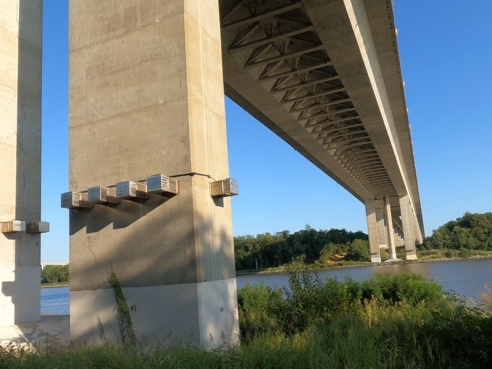 William V Roth Jr. Bridge 11.jpg