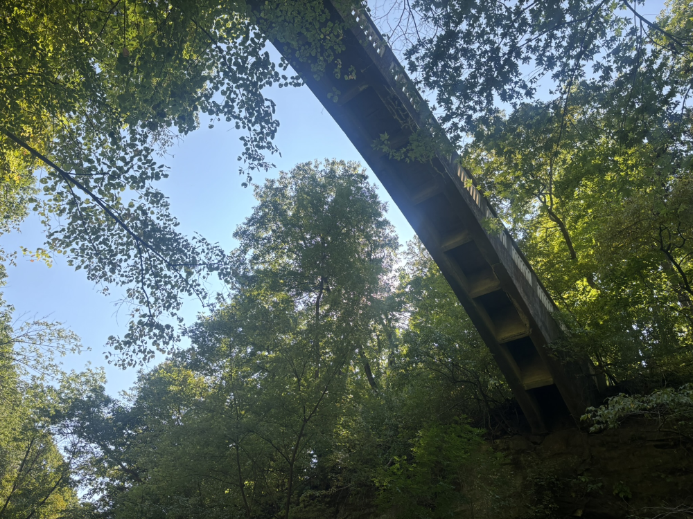 Matthiessen State Park Bridge 3 5.png
