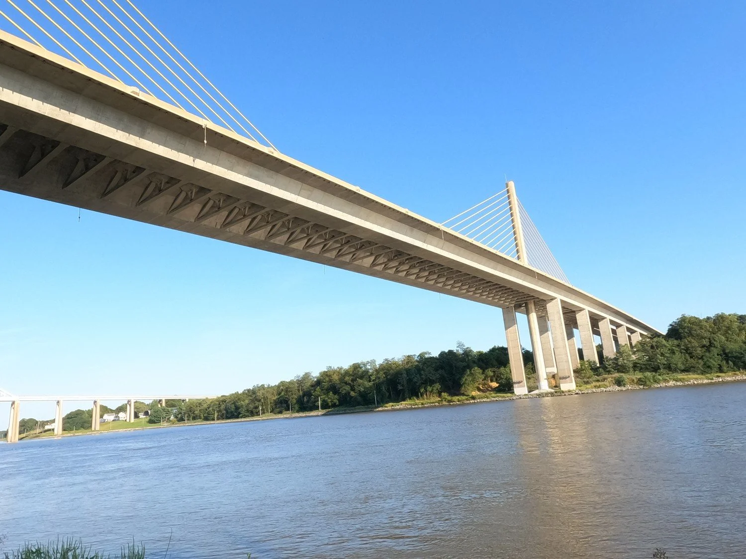 William V Roth Jr. Bridge 2.jpg