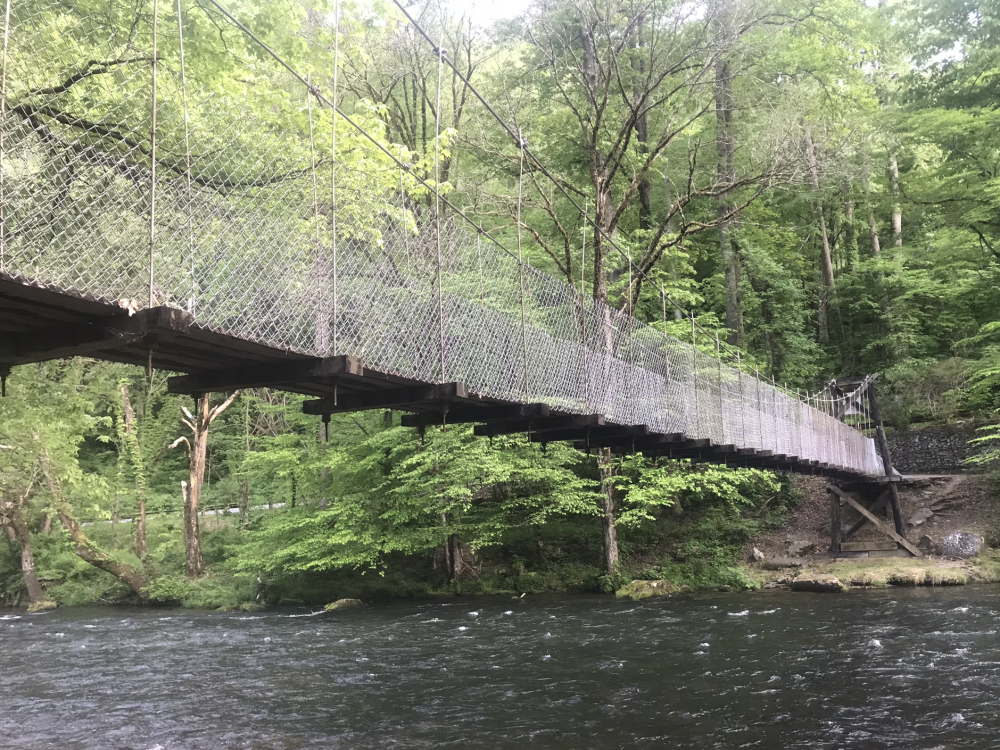 Nantahala Swinging Footbridge 3.png