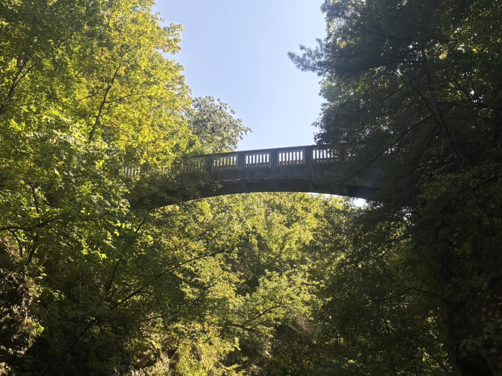 Matthiessen State Park Bridge 3 7.png