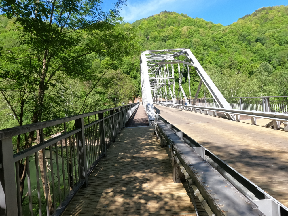 Tunney Hunsaker Bridge 6.png
