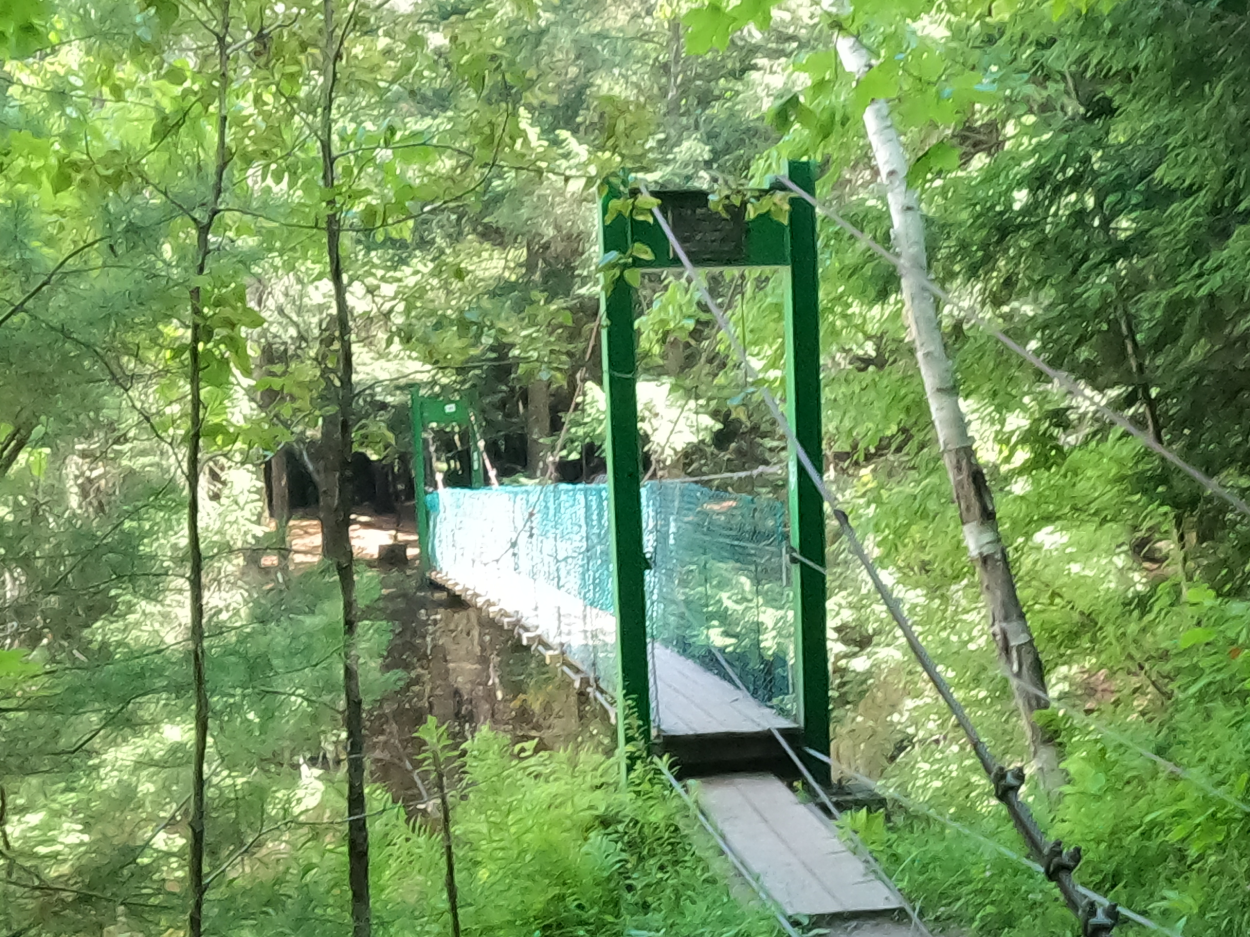 Bob Brugmann Suspension Bridge 2.png