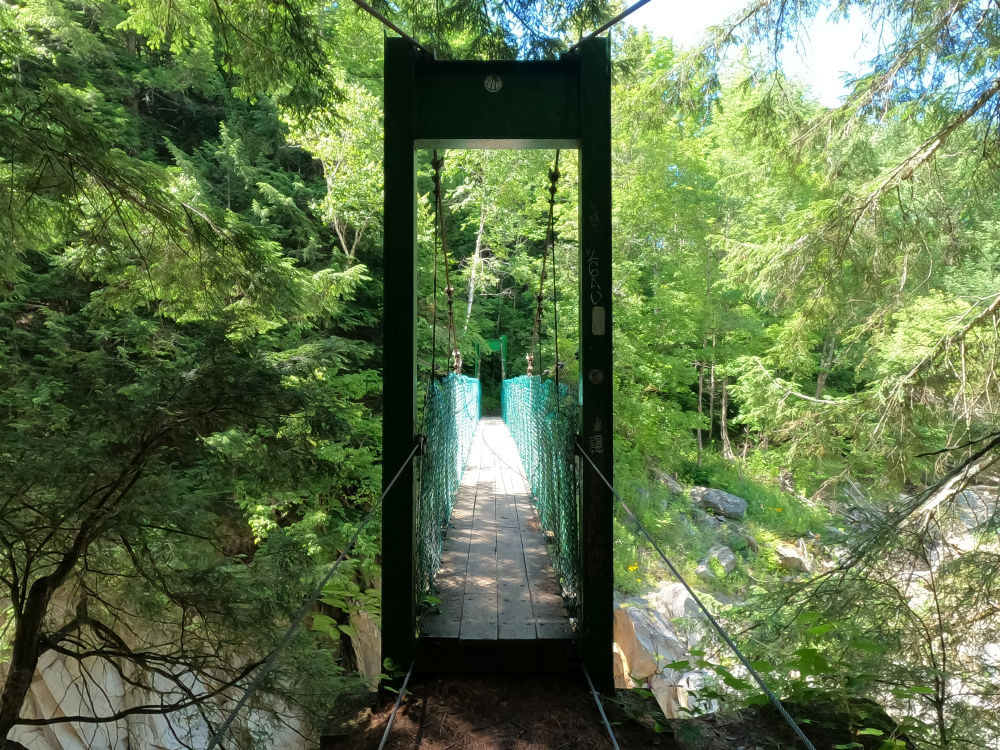 Bob Brugmann Suspension Bridge 10.png