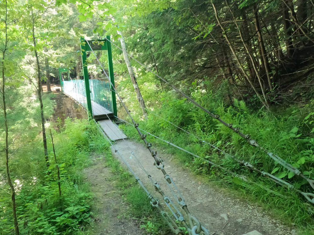 Bob Brugmann Suspension Bridge 3.png