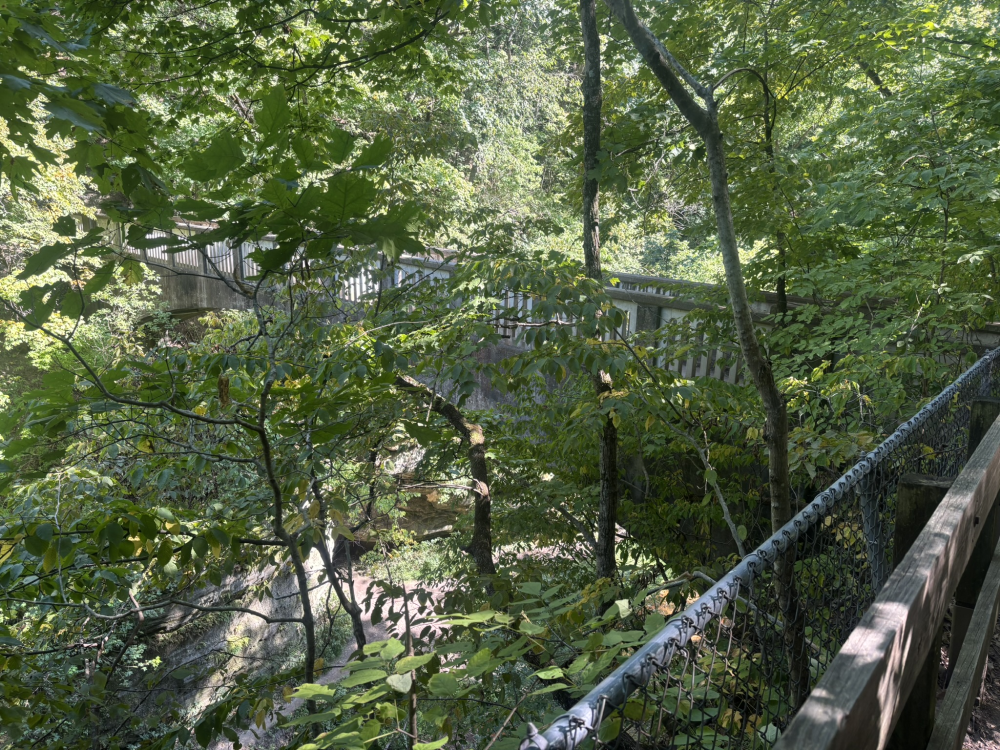 Matthiessen State Park Bridge 3 6.png